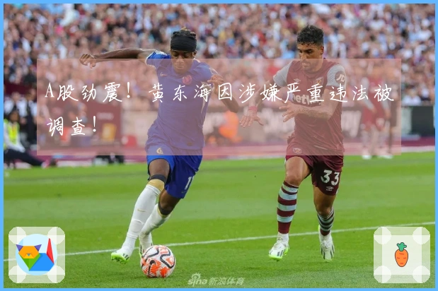A股劲震！黄东海因涉嫌严重违法被调查！