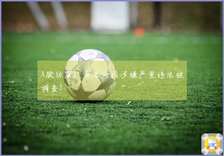 A股劲震！黄东海因涉嫌严重违法被调查！