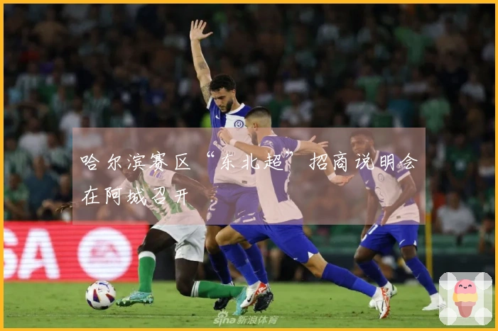哈尔滨赛区“东北超”招商说明会在阿城召开